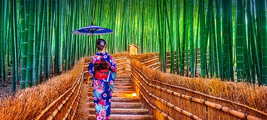 ВЛЮБИТЬСЯ В ЯПОНИЮ