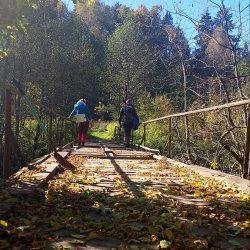 photo_2025-10-23_22-15-56