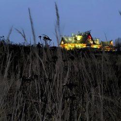 photo_2025-12-07_11-52-22